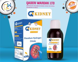 Q-Kidney